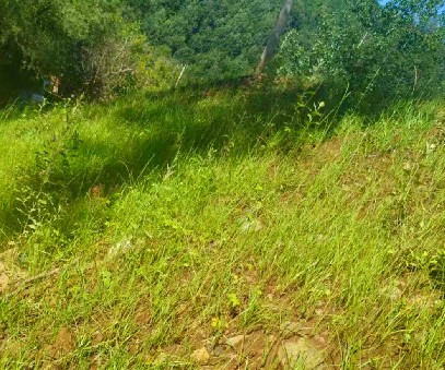 柳關(guān)欒盧鉛鋅礦|治理排土“瘡疤”，繪就綠色畫卷